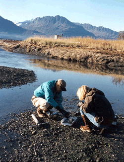 Contaminants Specialist sampling  sediments - CLICK TO ENLARGE