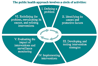 A pie chart listing the 6 steps involved with a public health approach