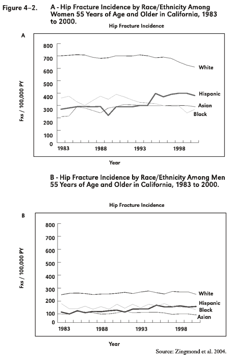 Figure 4-2. Hip Fracture Incidence by Race/Ethnicity Among Women and Men 55 Years of Age and Older in California, 1983 to 2000.
Two line graphs depicted as "A" and "B" (A for women and B for men), where the y-axis is the number of fractures per 100,000 people/year and the x-axis is year (1983�00). In 1983, White women had the highest hip fracture rate at approximately 700 fractures per 100,000 people. Black women had the second-highest rate at approximately 370 per 100,000, followed by Hispanic women at a rate of 280 per 100,000. The lowest rate, 210 per 100,000, was among Asian women. In 2000, the rate for White women was still the highest, although it had decreased slightly to 620 fractures per 100,000 people. This was followed by a rate of 390 per 100,000 among Hispanic women and 300 per 100,000 among Asian women. Black women had the lowest rate at 290 per 100,000. In 1983, White men had the highest hip fracture rate among men at approximately 250 fractures per 100,000 people. Black men had the second-highest rate at approximately 180 per 100,000, followed by Hispanic men at a rate of 120 per 100,000. The lowest rate, 100 per 100,000, was among Asian men. In 2000, the rate for White men had remained relatively steady at approximately 250 per 100,000. This was followed by a rate of 170 per 100,000 among Hispanic men and 150 per 100,000 among Black men. Asian men still had the lowest rate at approximately 90 per 100,000.