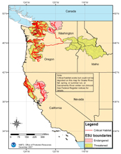 chinook salmon critical habitat