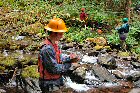 A view of a stream survey