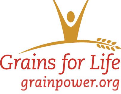 The Grain Foods Foundation represents members of the baking and milling industries, which collectively employ thousands of Americans.  Our goal is to encourage our members to include MyPyramid in their marketing and communications efforts, such as in-house publications, on packaging, in advertisements and at retail. To do our part, we will include MyPyramid information in our monthly employee newsletters, Progress Reports and on our website, www.grainpower.org.