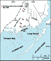 map diagramming sampling sites locations in the Taylor Slough study area