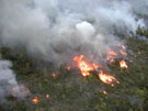 Ground control burning. FWS photo.