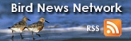 Bird News Network RSS Feed