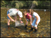 Class in the Creek - Science for Kids, Parents and Teachers
