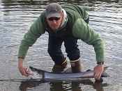 Sheefish, a large, highly desirable whitefish, are abundant on the Selawik Refuge in northwest Alaska. 