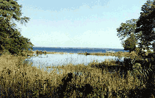 Photo of the Chesapeake Bay