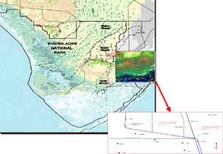 collage of three images including a colored map of everglades national park, a small satellite image of a portion of the park including the C111 canal, and a line drawing showing various stations within the C111 canal area