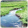 A photograph of a creek running through a plush, green meadow.