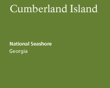 Cumberland Island National Seashore