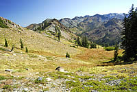 High elevation meadow system in the Trinity Alps.