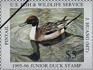 Junior Duck Stamp