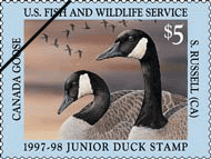 Junior Duck Stamp