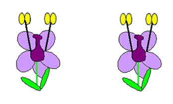 Animation of the cross-pollination process. The flower's anther produces pollen, a bee comes along and picks up the pollen, and flys to another flower where the pollen is deposited into the stigma.