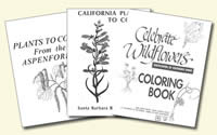 Coloring Books Covers