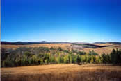 aspen clones intermixed with grasslands in southern Utah.