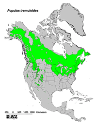 Populus tremuloides, quaking aspen North American distribution map.