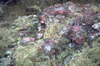 lichen-covered granite boulders.