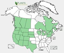 Map of North America showing green shaded areas where the species may be found.