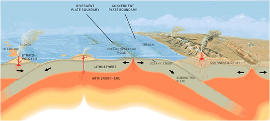 Graphic of a cross-section of the earth displaying plate tectonics features.
