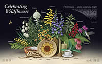 Celebrating Wildflowers Ethnobotany poster.
