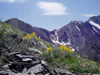 mountain scene.