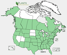 Map of North America showing green shaded areas where the species may be found.