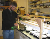 man in a laboratory spraying sword fern spores.