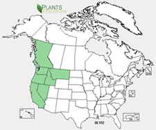 Map of North America showing green shaded areas where the species may be found.