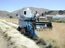 combine collecting seed in a nursery.