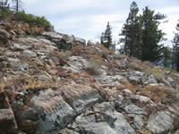 A rock outcrop community.