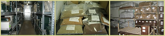 Three pictures: left is inside of a storage cooler looking between racks stacked with boxes and bags of seeds; center is bags of seed; right is bags of seed on racks along a wall.