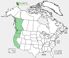 Map of North America showing green shaded areas where the species may be found.