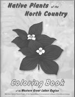 Native Plants of the North Country Cover