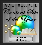 Vie's Inn of Wonders' Awards - Content Site of the Year 2007 award logo