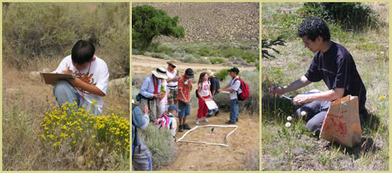 Three pictures: left is a boy making notes on a clipboard; middle is a group of men, women and children standing around a vegetation plot; right is a young man kneeling and collecting seed.