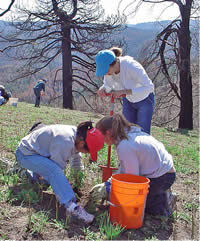 three young women planting a seedling in a burned area.
