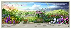 Thumbnail of Celebrating Our National Grasslands, Prairies, and Wildflowers Poster.