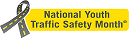 National Youth Traffic Safety Project Toolkit