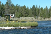 The sampling site for investigating daily variations in mercury concentrations in the Madison River, Yellowstone National Park, Montana. A mobile water-quality laboratory and the gage house for a USGS streamflow station are shown on the far bank