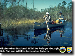 Canoeing at Okefenokee National Wildlife Refuge in Georgia