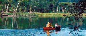couple in canoe on water with wooded bank behind