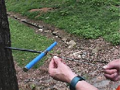 Using tree cores to delineate the gasoline-contaminated ground-water plumes at the Laurel Bay Site, SC