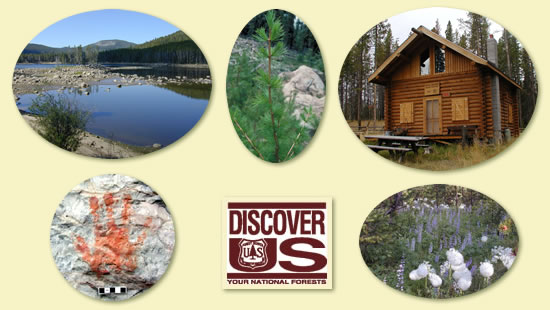 Graphic image with photos of Helena National Forest resources