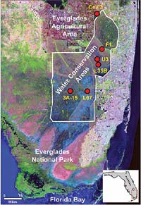 satellite image of South Florida, showing biota collection sites