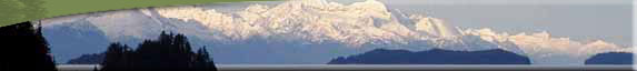 View of snow-covered mountains behind low-lying forested islets in Lynn Canal.