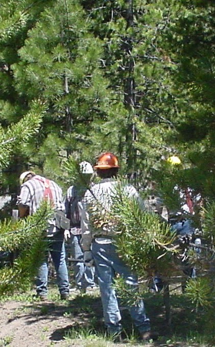 Photo of  people working