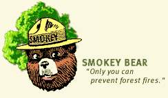 [Image]: Smokey Bear.