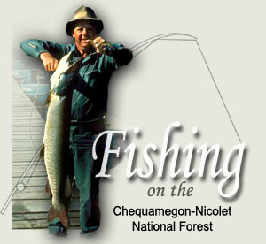 Fishing on the Chequamegon-Nicolet National Forest